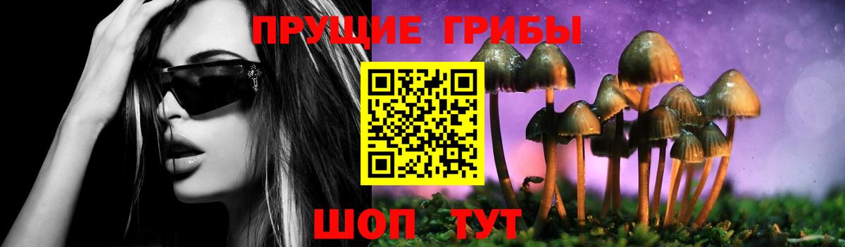 Псилоцибиновые грибы Cubensis Брянск